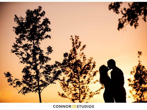 Connor Studios